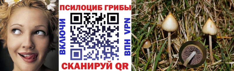 Купить где  Кудымкар  Галлюциногенные грибы MAGIC MUSHROOMS 